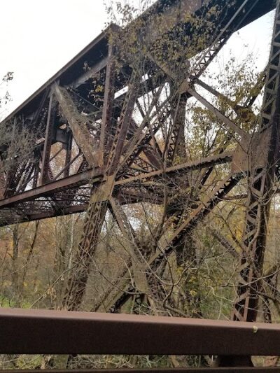 Black River Reservation Bur Oak - Elyria, OH