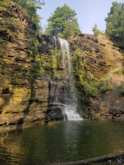 Black River Reservation Bur Oak - Elyria, OH