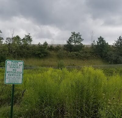 Black River Reservation Bur Oak - Elyria, OH