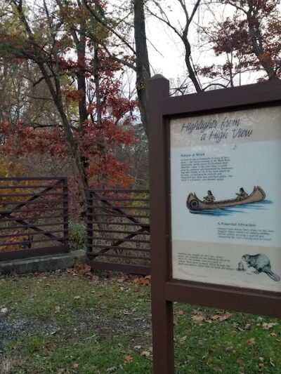 Black River Reservation Bur Oak - Elyria, OH