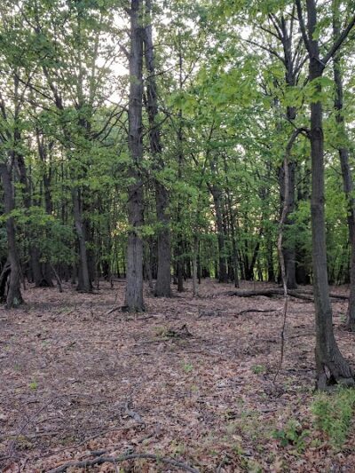 Black River Reservation High Meadows - Elyria, OH