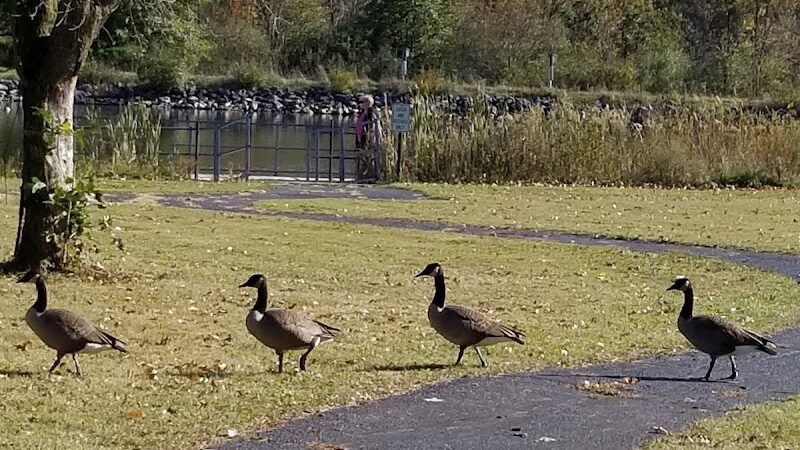 Carlisle Reservation Duck Ponds - Elyria, OH