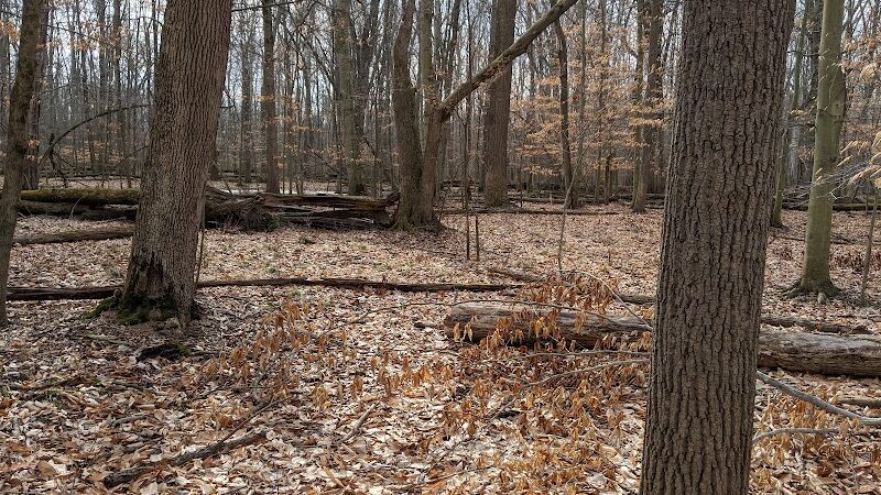 Carlisle Reservation Duck Ponds - Elyria, OH