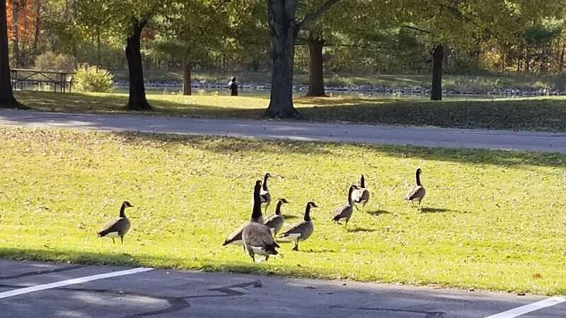 Carlisle Reservation Duck Ponds - Elyria, OH