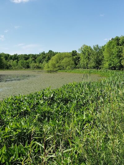 Carlisle Reservation Duck Ponds - Elyria, OH