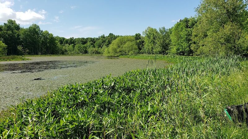 Carlisle Reservation Duck Ponds - Elyria, OH
