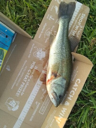 Carlisle Reservation Duck Ponds - Elyria, OH