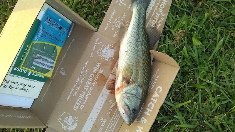 Carlisle Reservation Duck Ponds - Elyria, OH