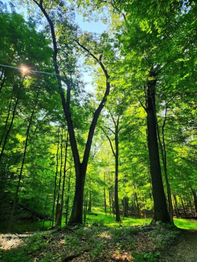 Cascade Park - Elyria, OH