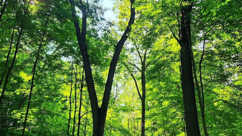 Cascade Park - Elyria, OH