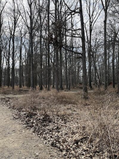 East Park - Elyria, OH