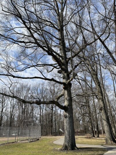 East Park - Elyria, OH