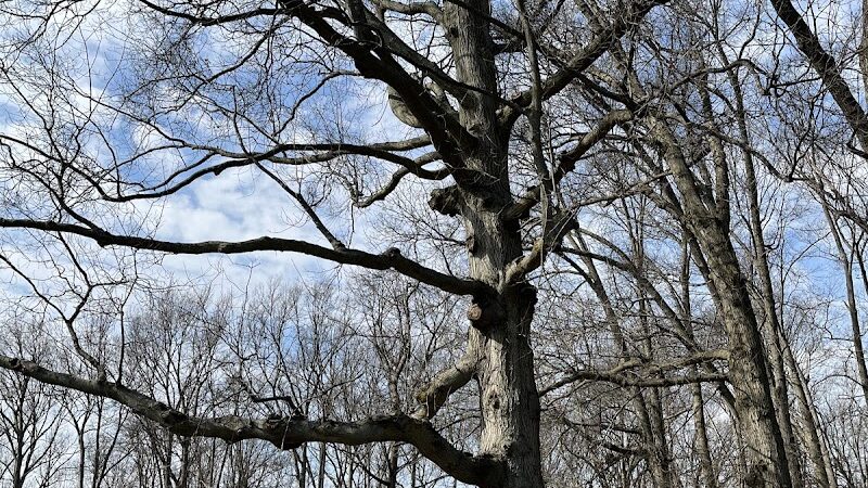 East Park - Elyria, OH