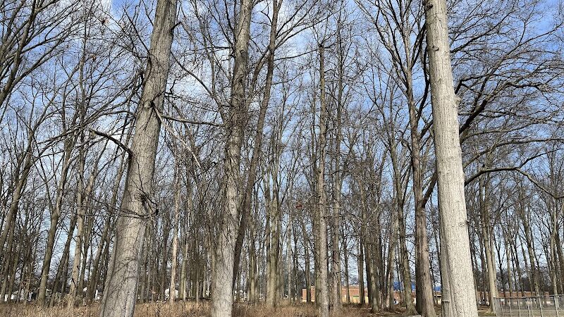 East Park - Elyria, OH