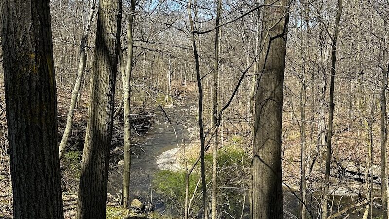 Finwood Forest Park - Elyria, OH