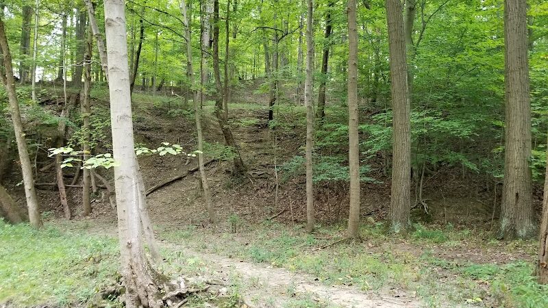 Finwood Forest Park - Elyria, OH