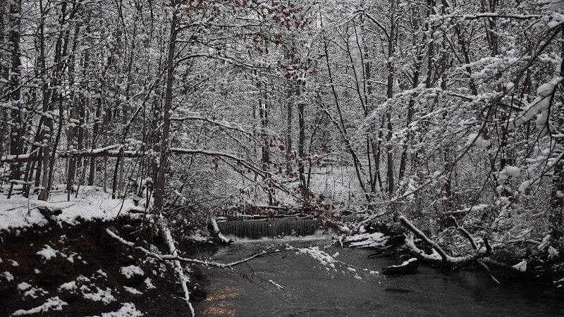 Finwood Forest Park - Elyria, OH