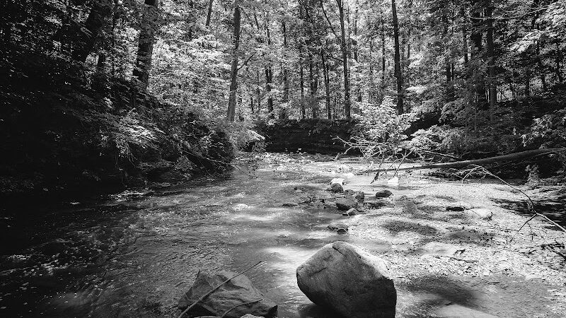 Finwood Forest Park - Elyria, OH