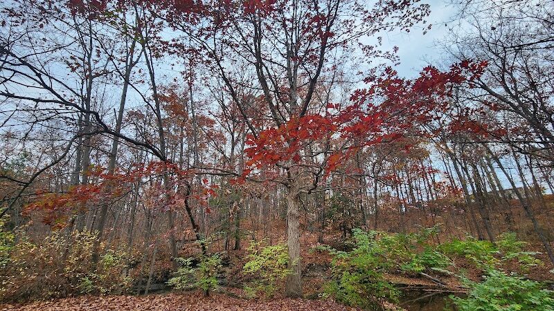 Finwood Forest Park - Elyria, OH