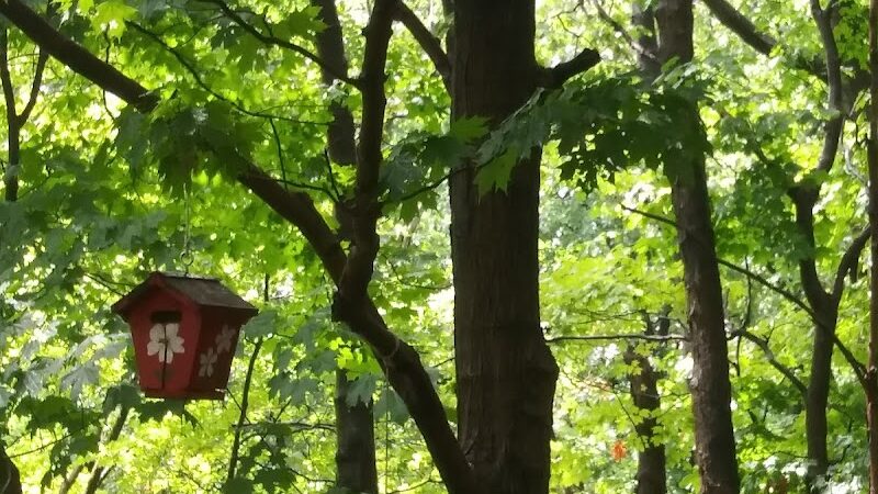 Lorain County Metro Parks High Meadows Shelter #1 - Elyria, OH