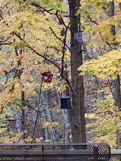 Lorain County Metro Parks High Meadows Shelter #1 - Elyria, OH