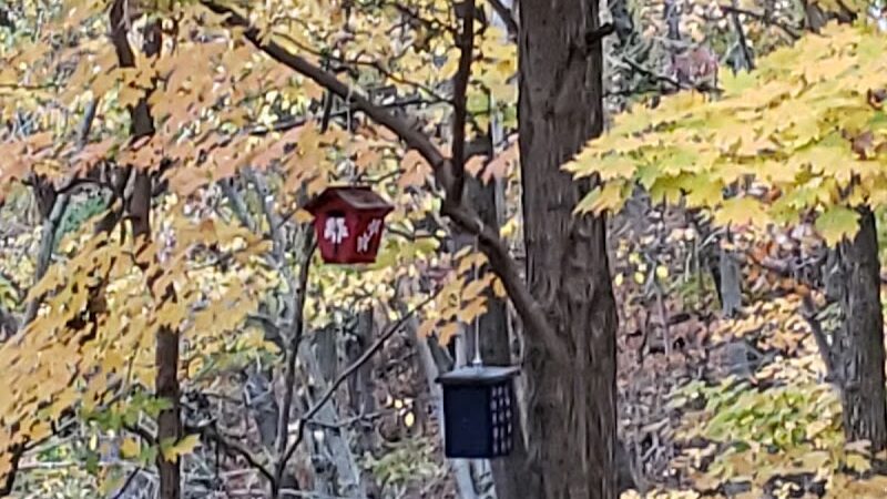 Lorain County Metro Parks High Meadows Shelter #1 - Elyria, OH