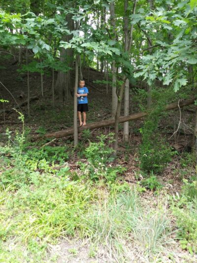 Park Maintenance Garage - Elyria, OH