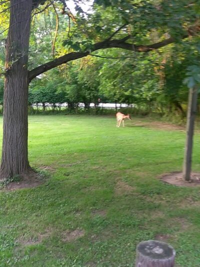 Park Maintenance Garage - Elyria, OH