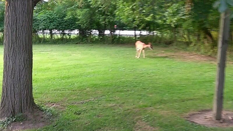 Park Maintenance Garage - Elyria, OH