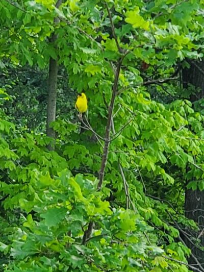 Park Maintenance Garage - Elyria, OH