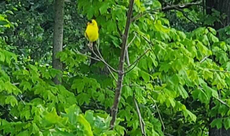Park Maintenance Garage - Elyria, OH