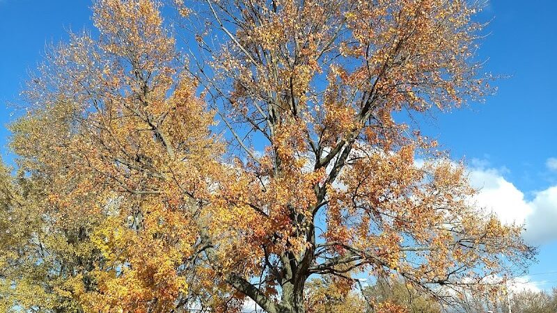 Park Maintenance Garage - Elyria, OH