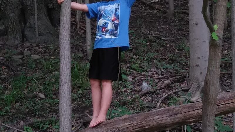 Park Maintenance Garage - Elyria, OH