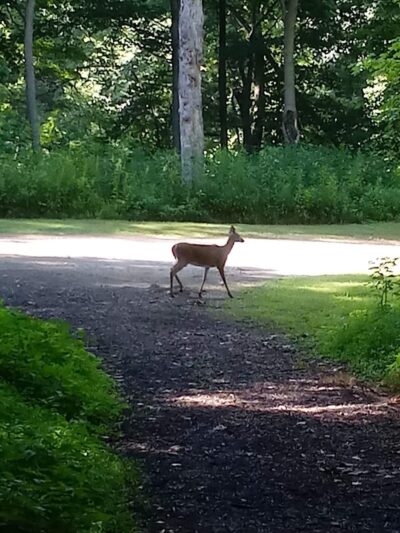 Park Maintenance Garage - Elyria, OH