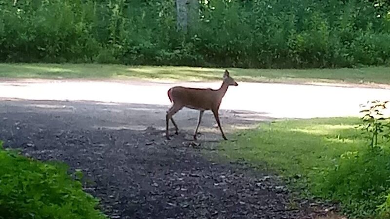 Park Maintenance Garage - Elyria, OH