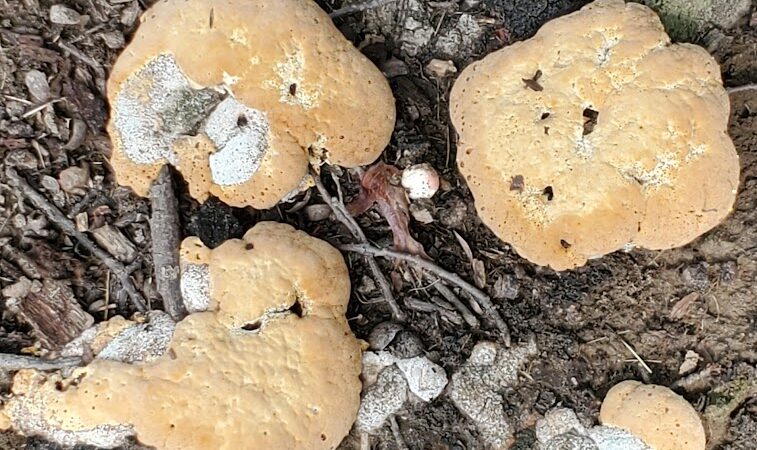 Park Maintenance Garage - Elyria, OH