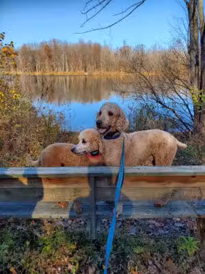 Rowland Nature Preserve - Elyria, OH