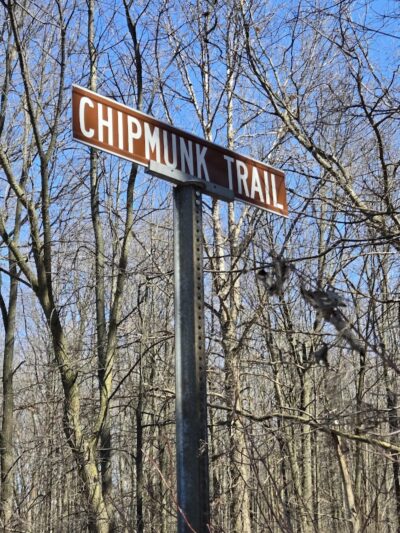Rowland Nature Preserve - Elyria, OH