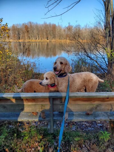 Rowland Nature Preserve - Elyria, OH