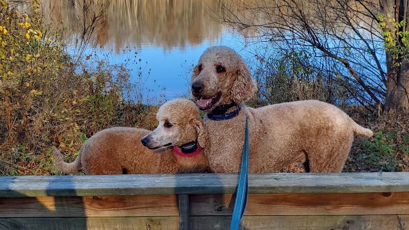 Rowland Nature Preserve - Elyria, OH