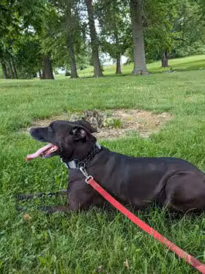 South Park - Elyria, OH in - Elyria, OH