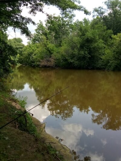 South Park - Elyria, OH in - Elyria, OH