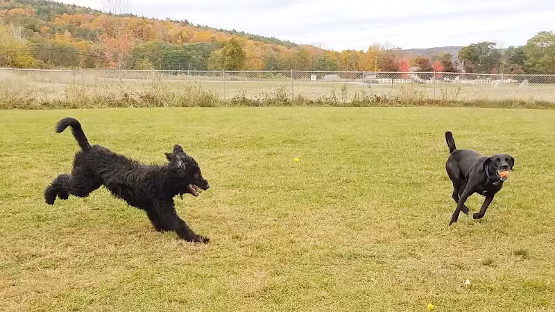 Shaker Field Dog Park - Enfield, NH