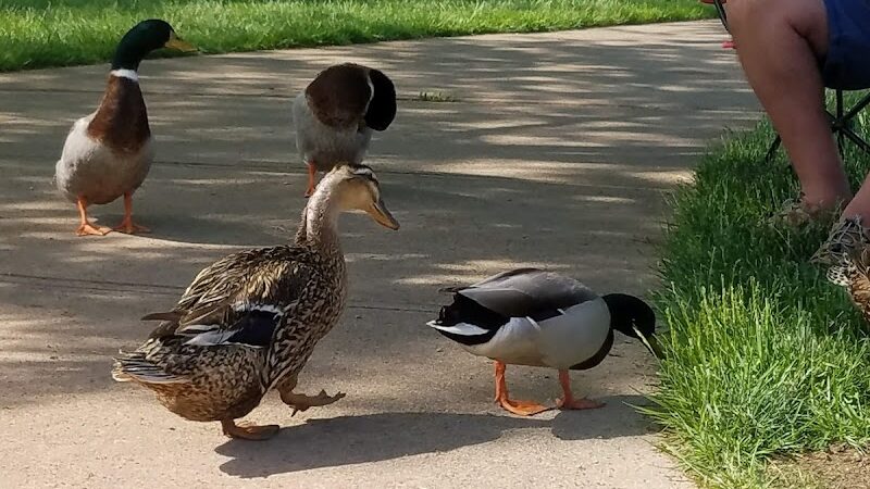 Centennial Park - Englewood, OH
