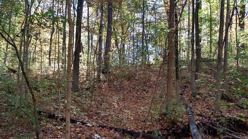 Englewood MetroPark West Park - Englewood, OH