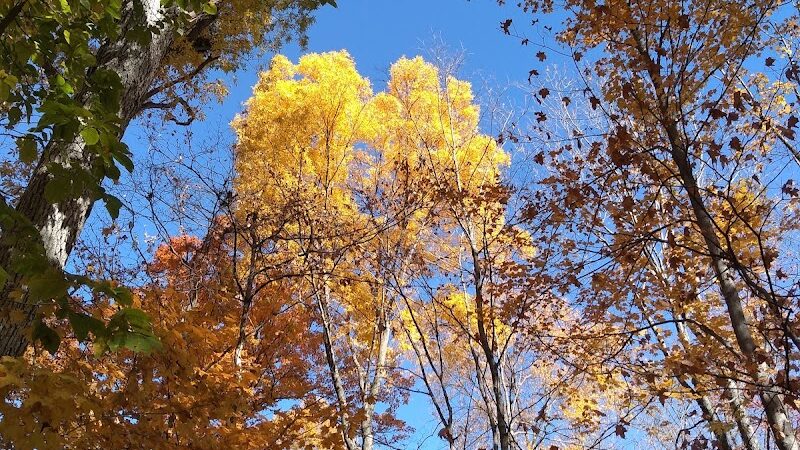 Englewood MetroPark West Park - Englewood, OH
