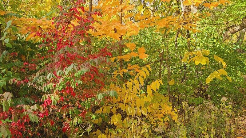Englewood MetroPark West Park - Englewood, OH