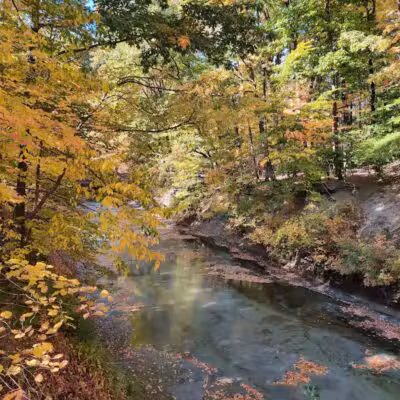 Euclid Creek Park Pavilion - Euclid, OH
