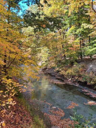 Euclid Creek Park Pavilion - Euclid, OH