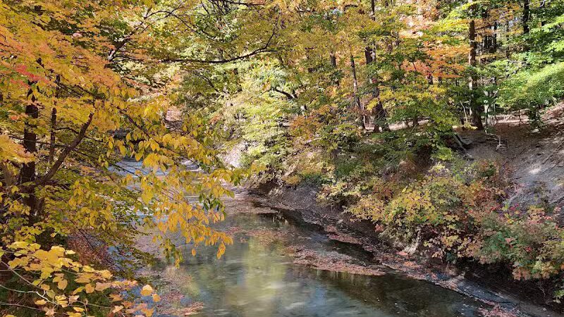Euclid Creek Park Pavilion - Euclid, OH